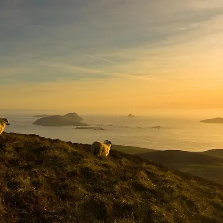 招待所 亚比小屋酒店