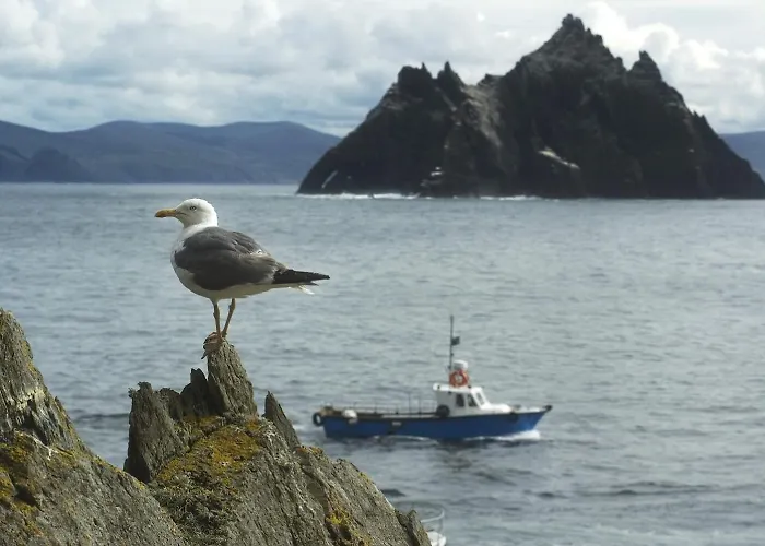 Penzion Abbey Killarney